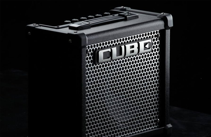 Amazon | Roland ローランド ギターアンプ 10W ブラック CUBE-10GX